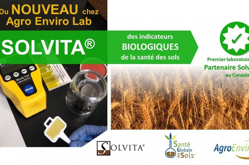 Solvita®